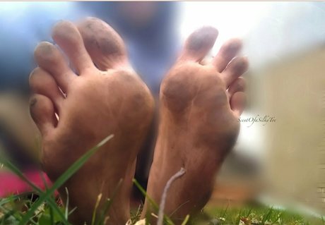 scentofasilkytoe beste sex foto