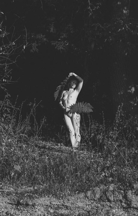 monsterschwanz-onlyfans exklusive pornografische galerie