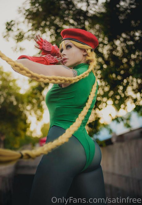 satinfree kostenlose schöne bild