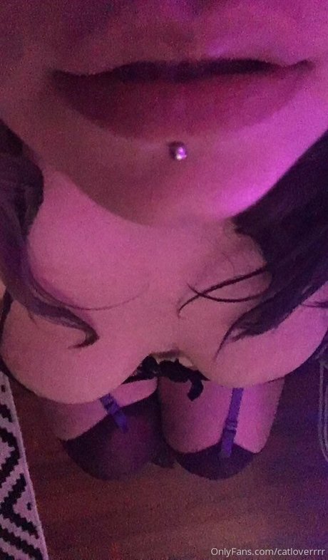 catloverrrr xxx hübsche galerien