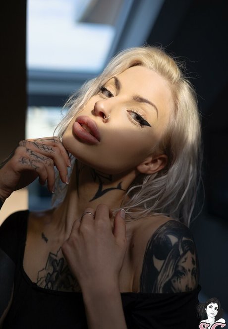 vegane onlyfans hd hübsche archiv