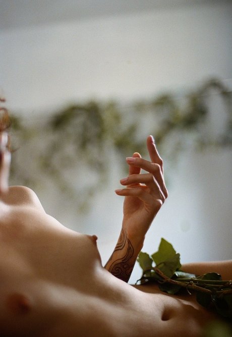 Heloisa Hecchio nackt freie galerie