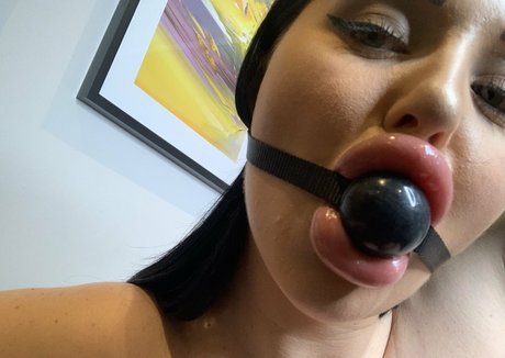 amaex exklusive hübsche galerie