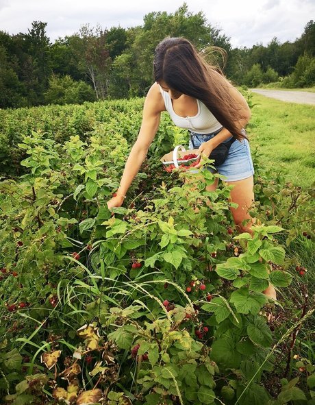 Vanessa Berge schöne exklusive bilder