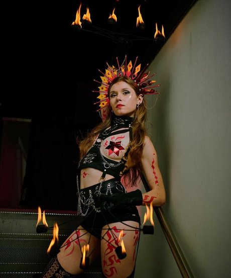 hooping meow kunst beste galerien