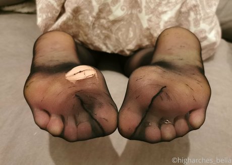 higharches bella pornostar top foto