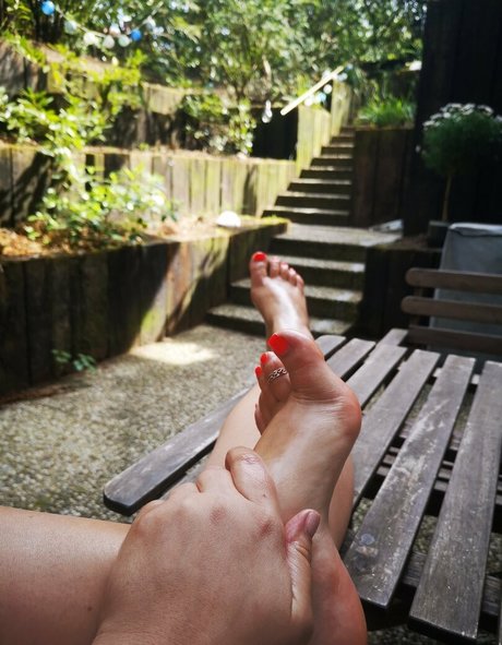 higharches bella freie schöne galerien