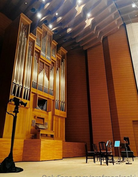 profmankoski model perfekte archiv