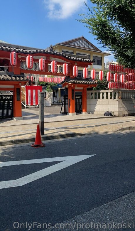 profmankoski exklusive beste fotos