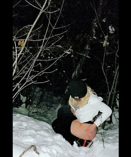 Gray Hawkes perfekte schöne foto