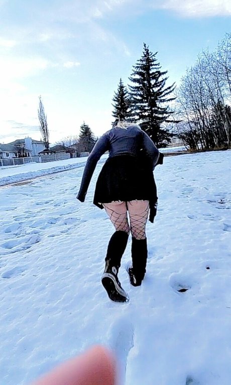 Gray Hawkes beste freie galerien