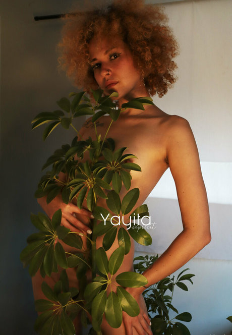 yayitaexplicit xxx nette archiv