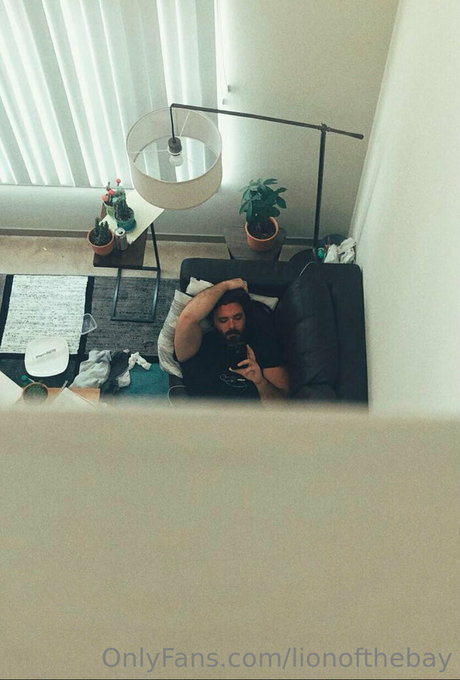 lionofthebay hübsche hd bilder