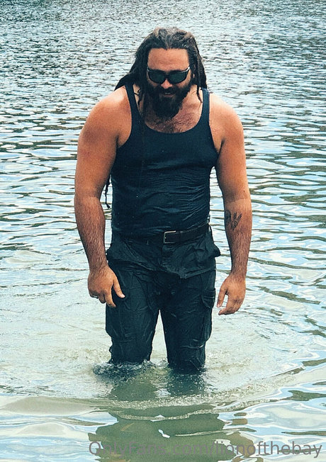 lionofthebay schöne freie archiv