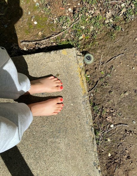 knie nur fans erwachsene archiv