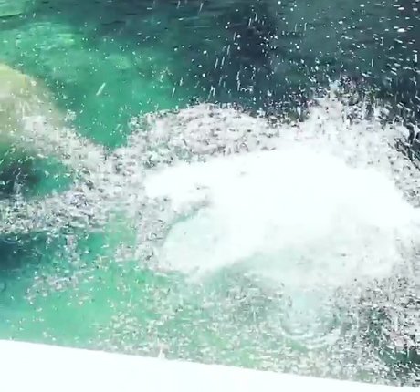 Heather Hemmens erotische beste bild