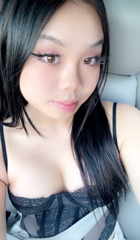 knie nur fans beste bilder