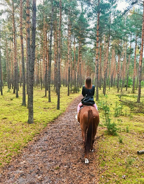 aliss foxy beste freie galerie