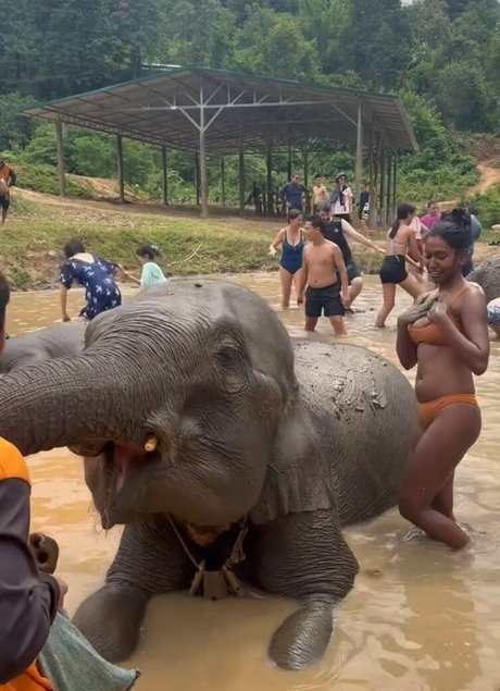 bondage-bunny-onlyfans sexy erotische fotos