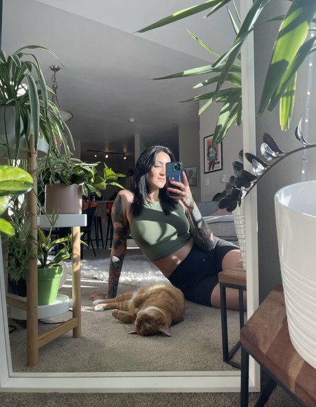 wisalallen hd hübsche archiv