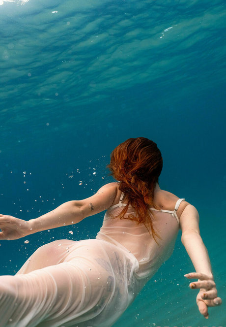 bbc-onlyfans perfekte freie bilder