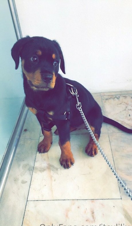 itsxlilix hübsche schöne archiv