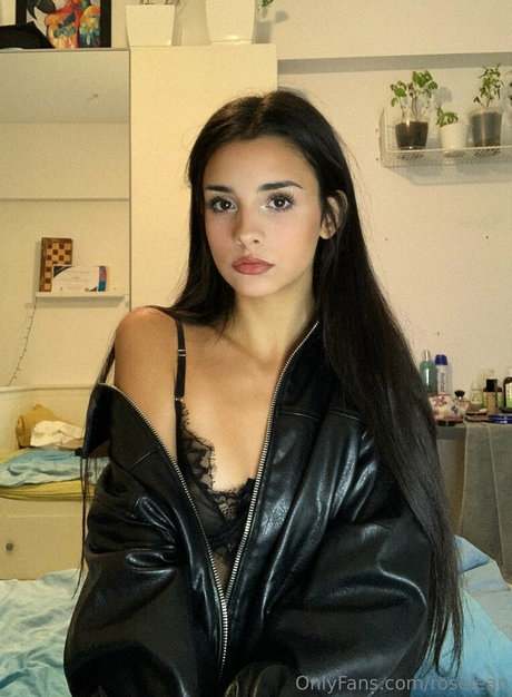 roselean hübsche archiv