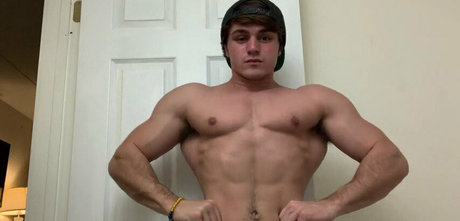 jamietylerflex exklusive top bild