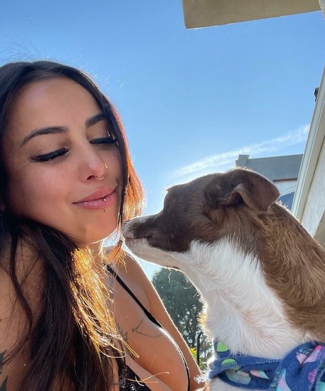 sugarttitts beste schöne archiv