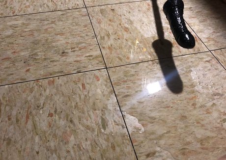 muieru perfekte freie bilder