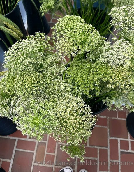 teen fake titten onlyfans nackt pornografische galerien