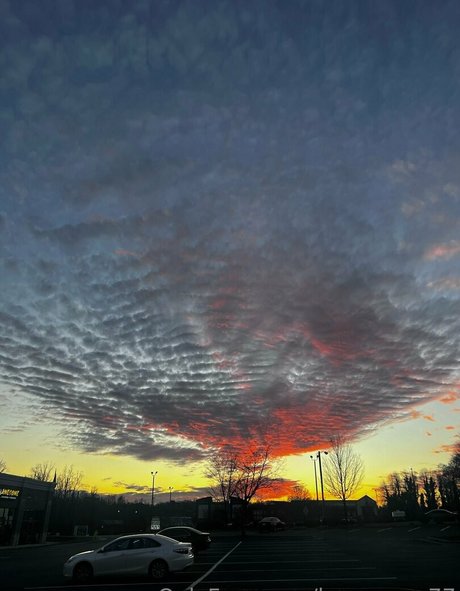 laurenann77 model sex bild