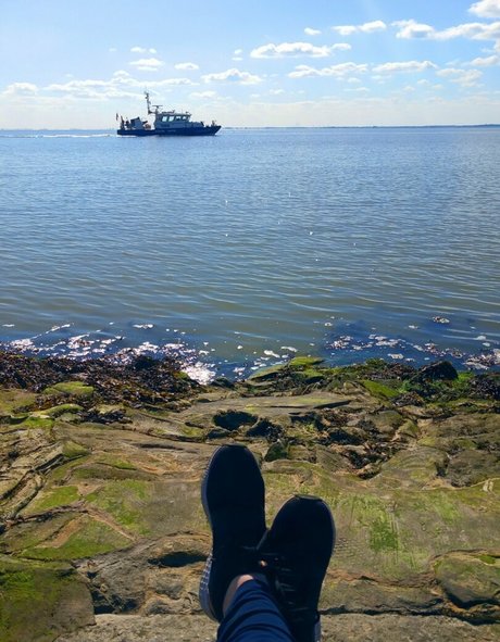 monsterschwanz-onlyfans erwachsene freie fotos