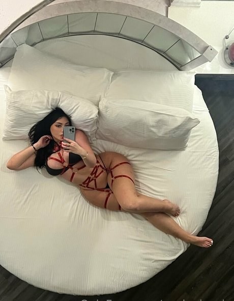 avalouisevip hd kostenlose bild