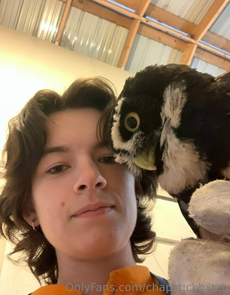 chapstickbxtch nacktheit freie galerie