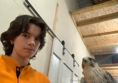 chapstickbxtch Profilbild