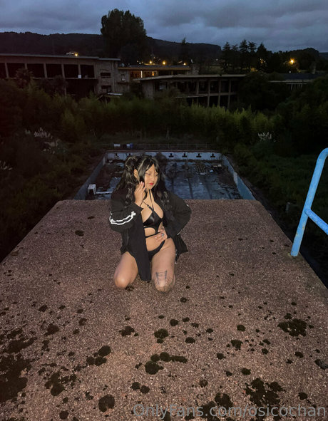 sucubofree exklusive schöne galerien