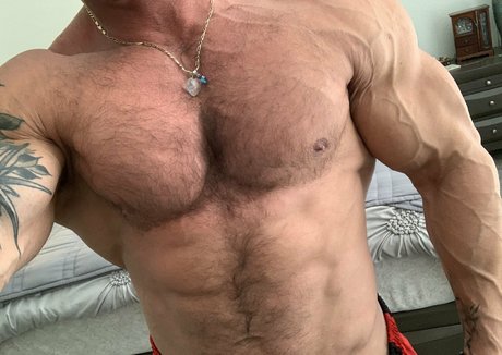 flexcash4 kostenlose perfekte bild