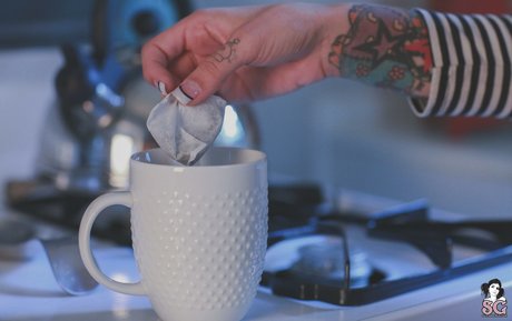 _stardust_ schöne kunst galerien