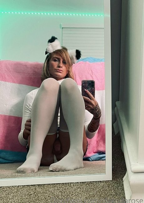 dakodarose freie kunst foto