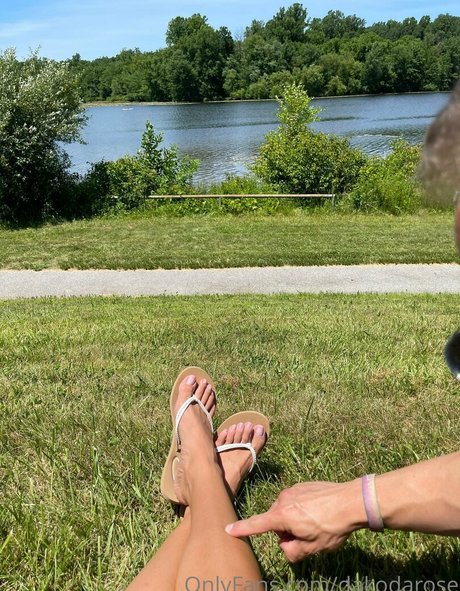 dakodarose hübsche schöne bild