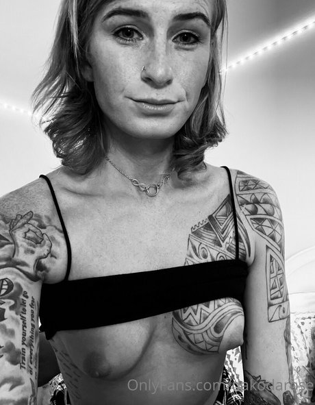 dakodarose beste kunst bilder