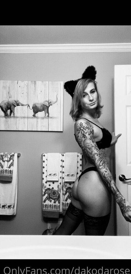 dakodarose kunst perfekte bilder