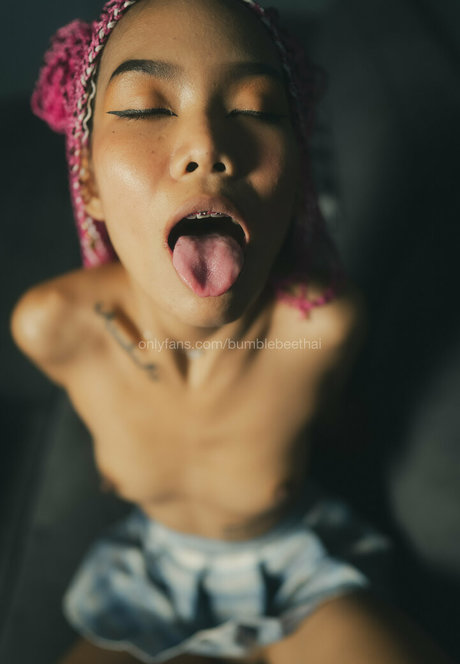 bumblebeethai freie perfekte galerie