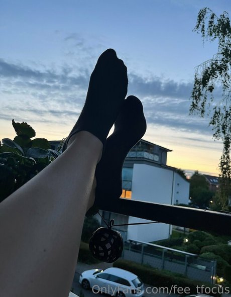 fee tfocus hd kunst galerie