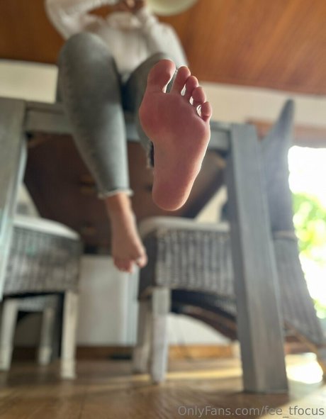 fee tfocus hd porno galerien