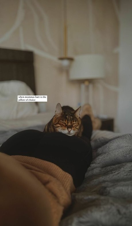 Chrissy Costanza Bilder