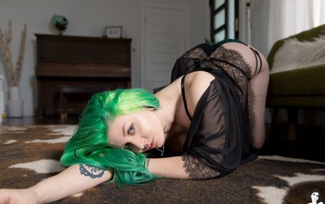 Chalkmoon model perfekte galerie