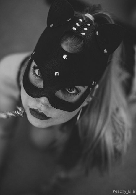 ellehart free Bilder