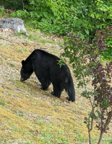 Fallon Jane nacktheit erotische bilder